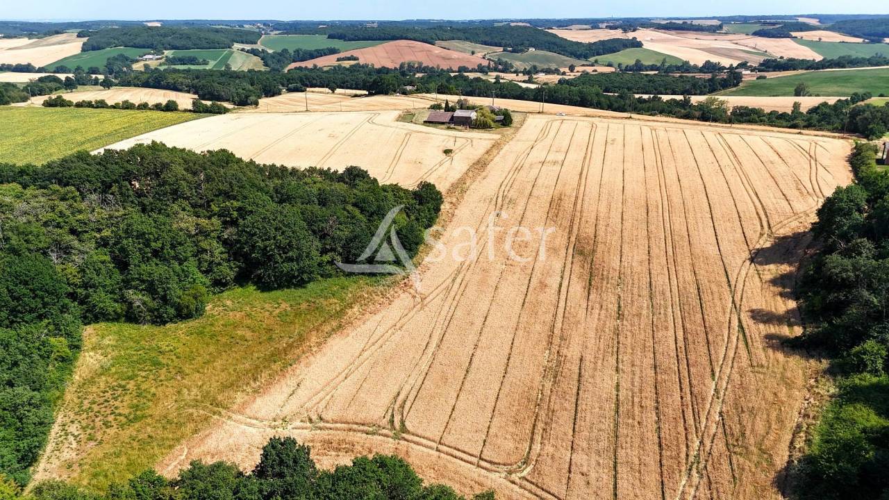 Kippen exploitatie Koop Tarn-et-Garonne