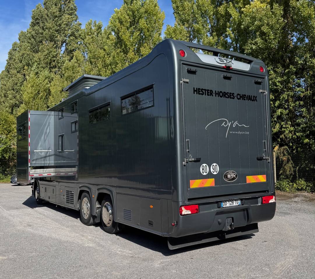 Zware paardenvrachtwagen (groot rijbewijs) STX SCANIA 2014 Tweedehands