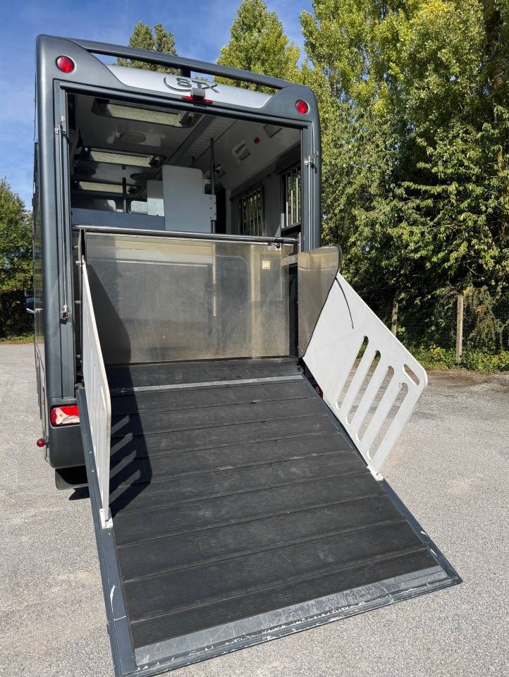 Zware paardenvrachtwagen (groot rijbewijs) STX SCANIA 2014 Tweedehands