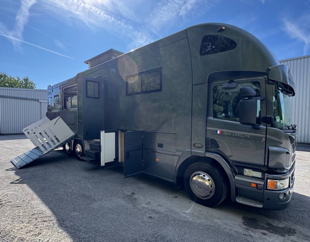 Zware paardenvrachtwagen (groot rijbewijs) STX SCANIA 2014 Tweedehands