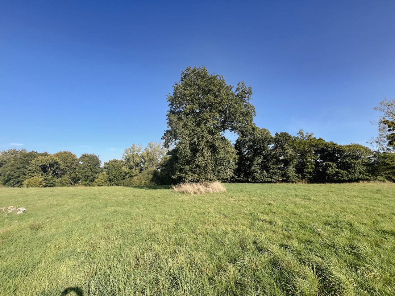 Plattelands huis Koop Ile-et-Vilaine