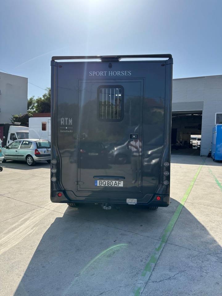 Kleine paardenvrachtwagen (B rijbewijs) Renault Renault master 2024 Nieuw