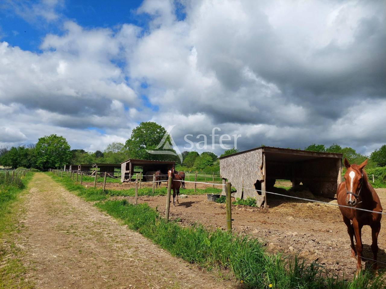 Hippisch vastgoed Koop Loire-Atlantique