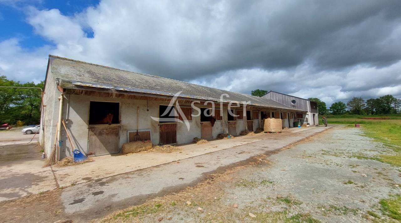 Hippisch vastgoed Koop Loire-Atlantique