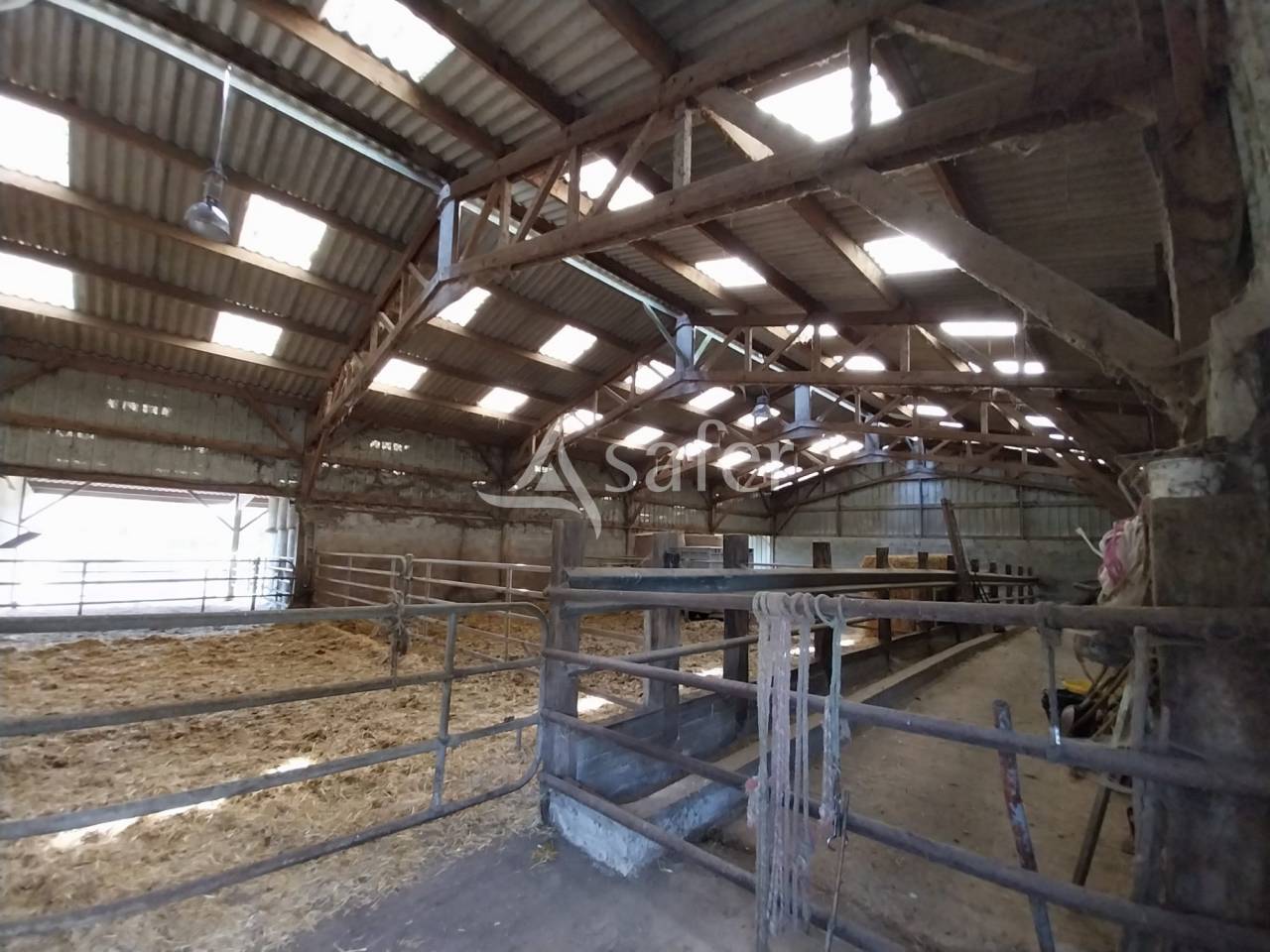 Landbouw bedrijf Koop Loire-Atlantique