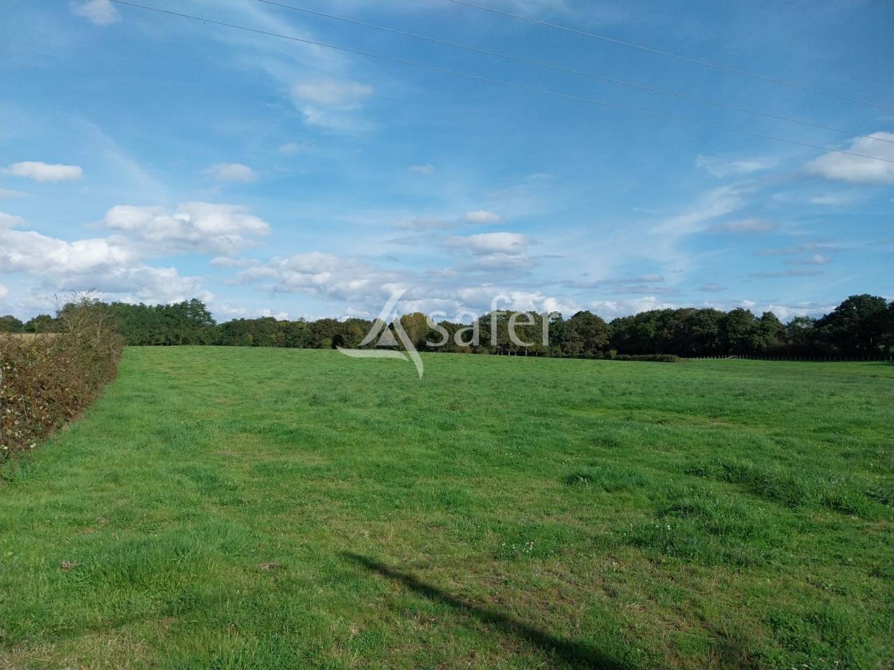 Landbouw bedrijf Koop Loire-Atlantique