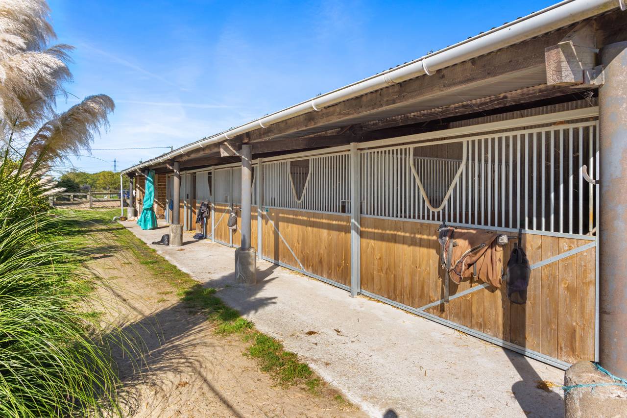 Eigenaren stal Koop Loire-Atlantique