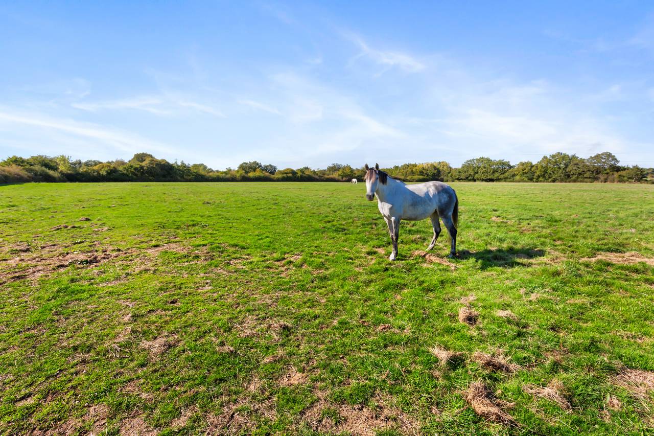 Eigenaren stal Koop Loire-Atlantique