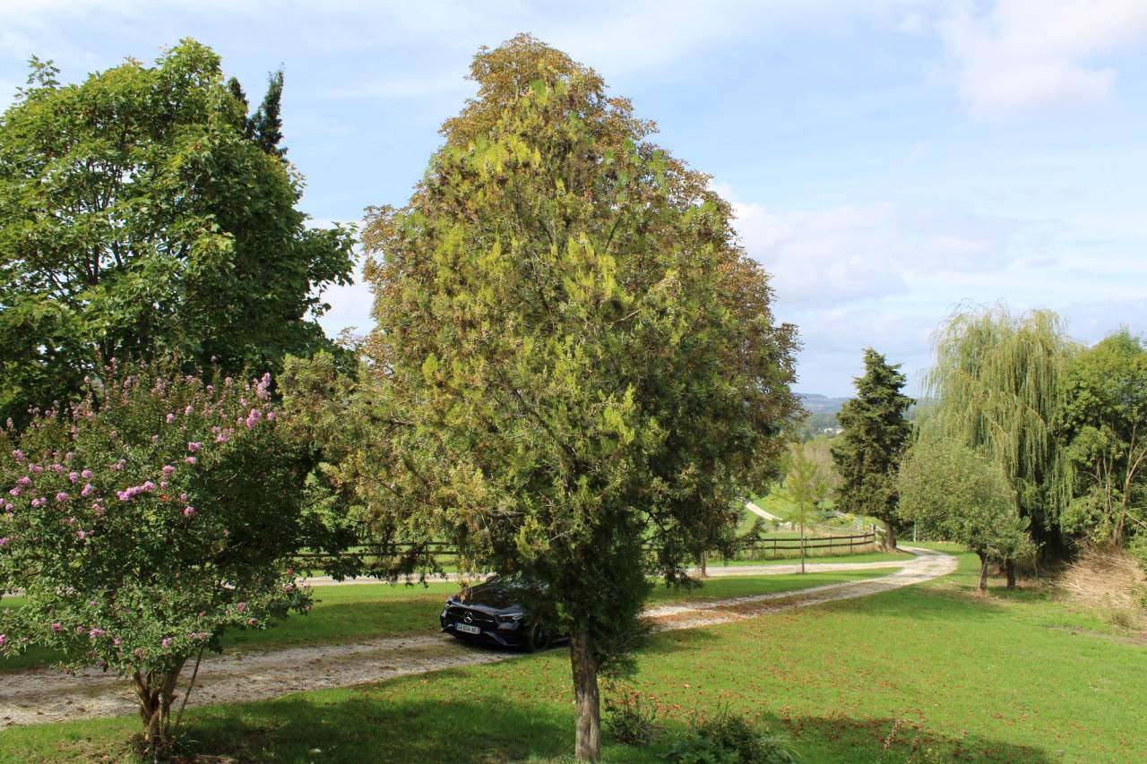 Hippisch vastgoed Koop Lot-et-Garonne