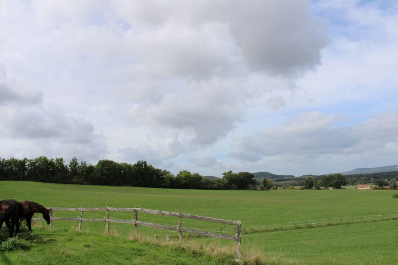 Hippisch vastgoed Koop Lot-et-Garonne