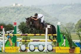 Veulen (vr) Selle Français Te koop 2025 Bruin / Bai ,  ESMERALDO