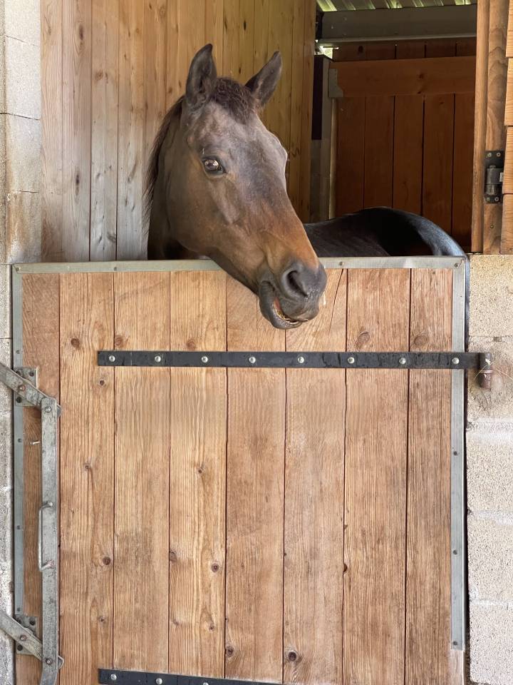 Hippisch vastgoed Koop Gironde