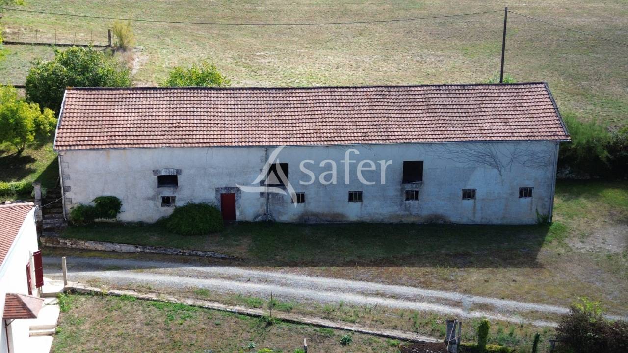 Schapen exploitatie Koop Dordogne