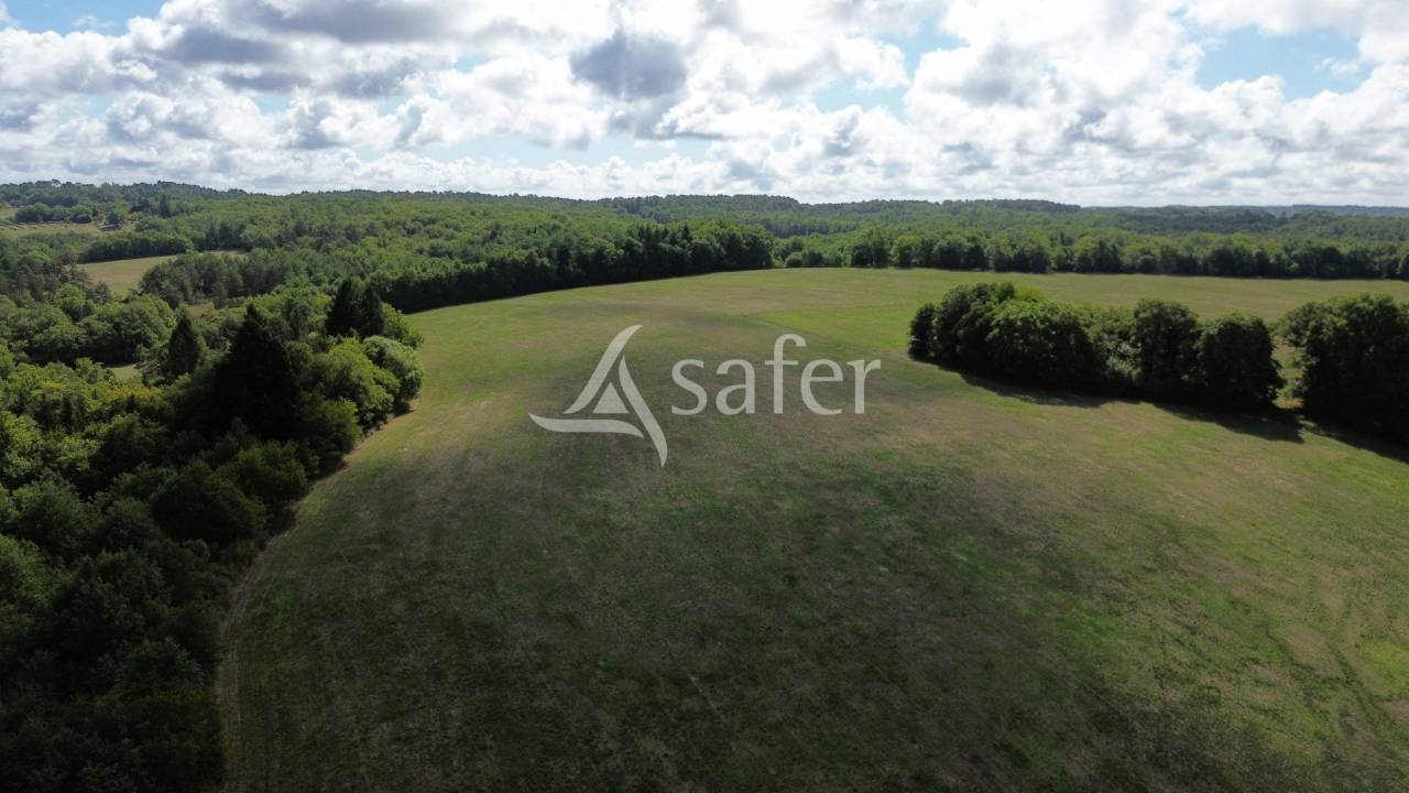 Schapen exploitatie Koop Dordogne