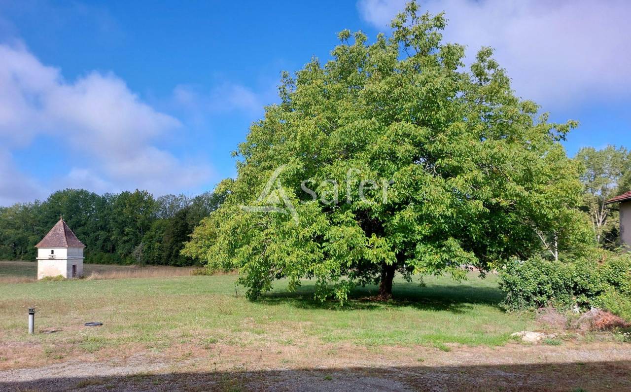 Schapen exploitatie Koop Dordogne