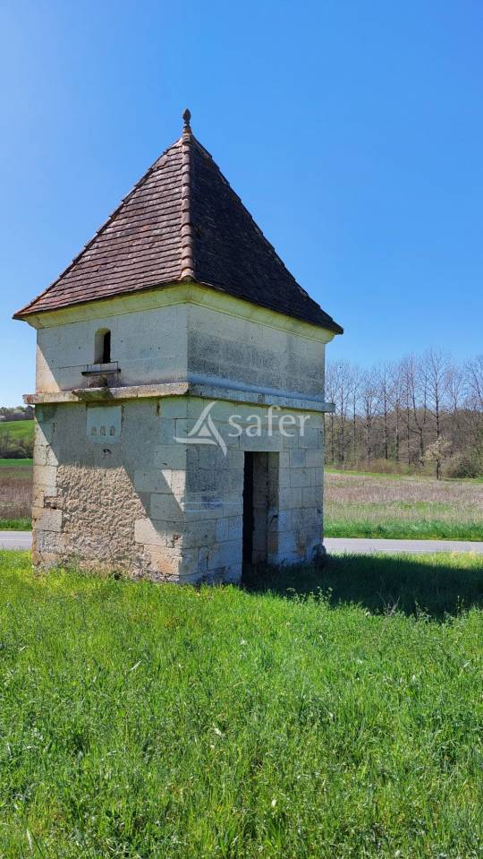 Schapen exploitatie Koop Dordogne