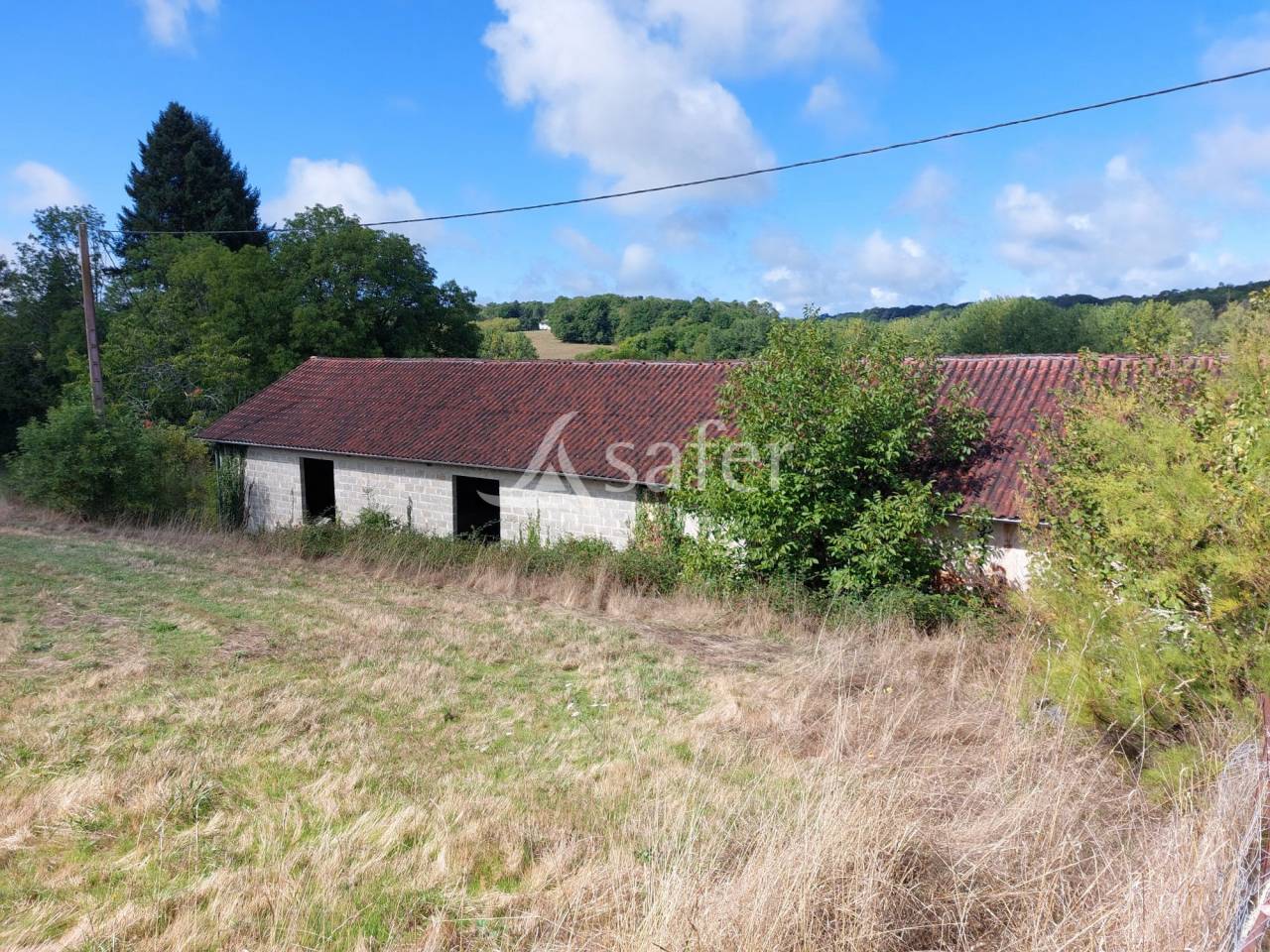 Schapen exploitatie Koop Dordogne