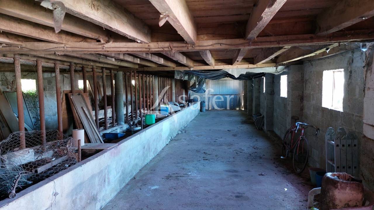 Schapen exploitatie Koop Dordogne