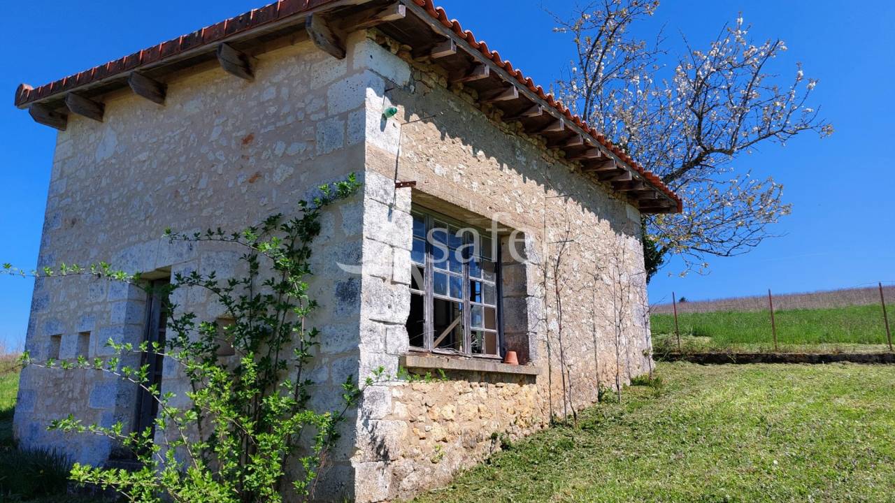 Schapen exploitatie Koop Dordogne