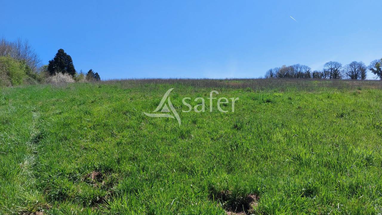 Schapen exploitatie Koop Dordogne