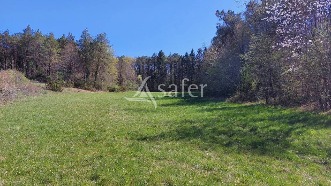 Schapen exploitatie Koop Dordogne