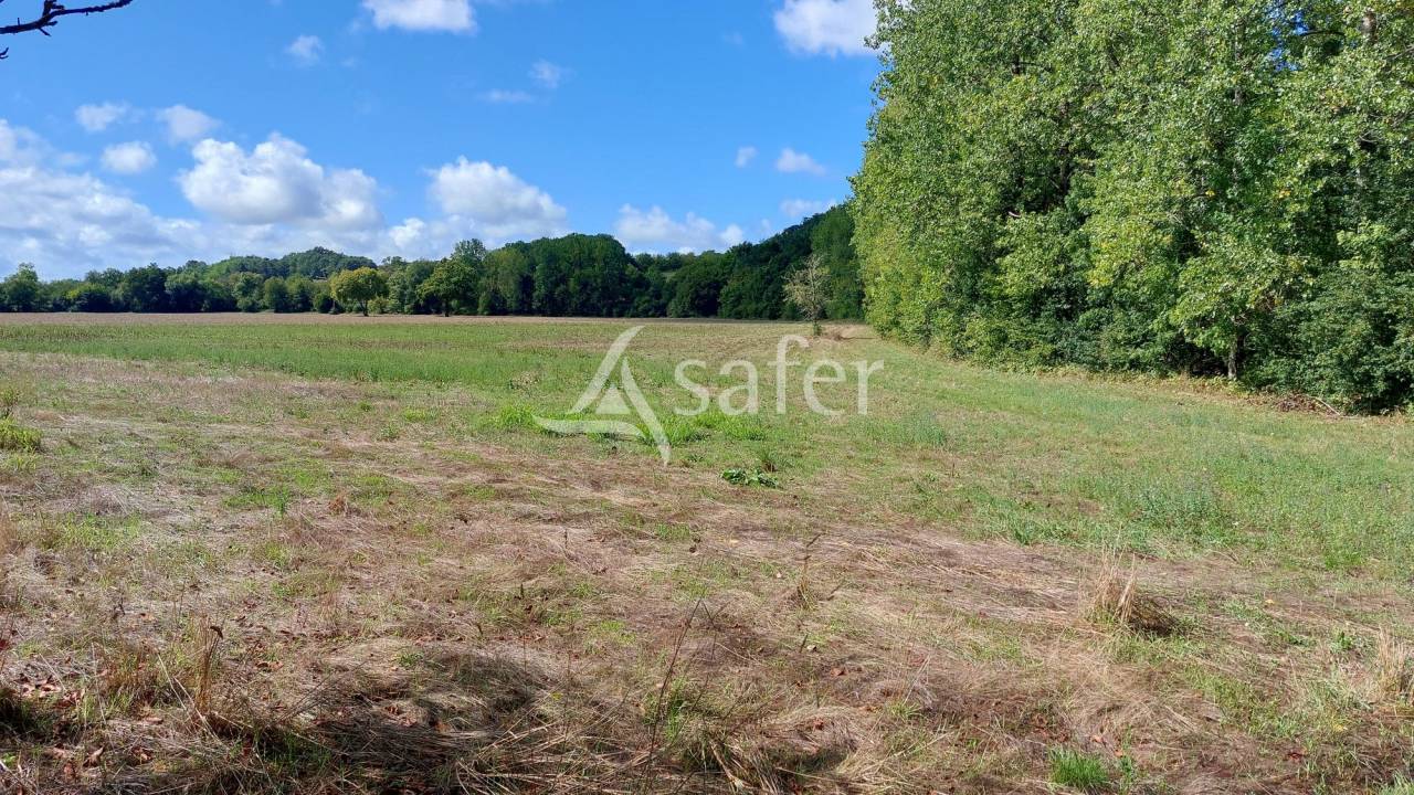 Schapen exploitatie Koop Dordogne