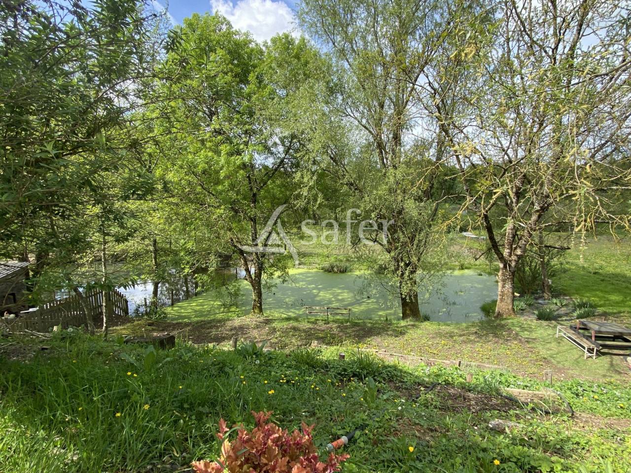 Hippisch vastgoed Koop Ain