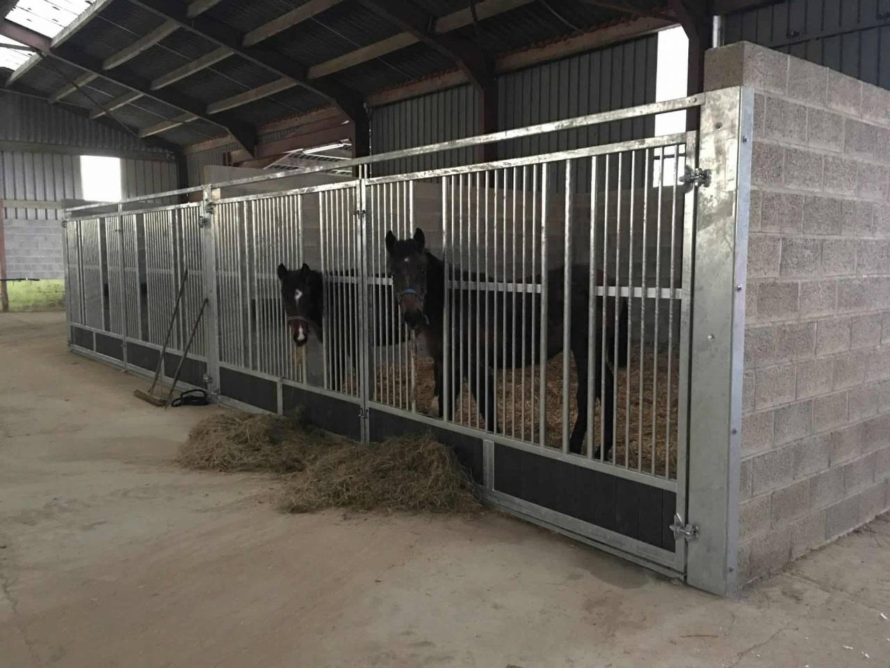 Hippisch vastgoed Koop Luxembourg belge