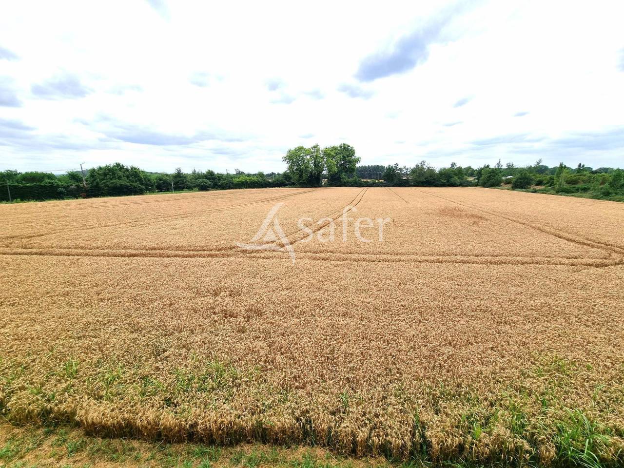 Ander plattelands vastgoed Koop Tarn-et-Garonne