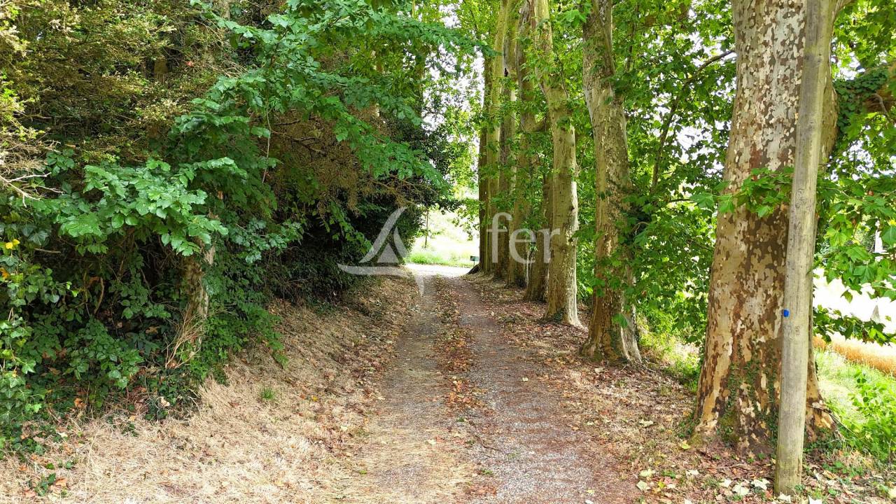 Ander plattelands vastgoed Koop Tarn-et-Garonne