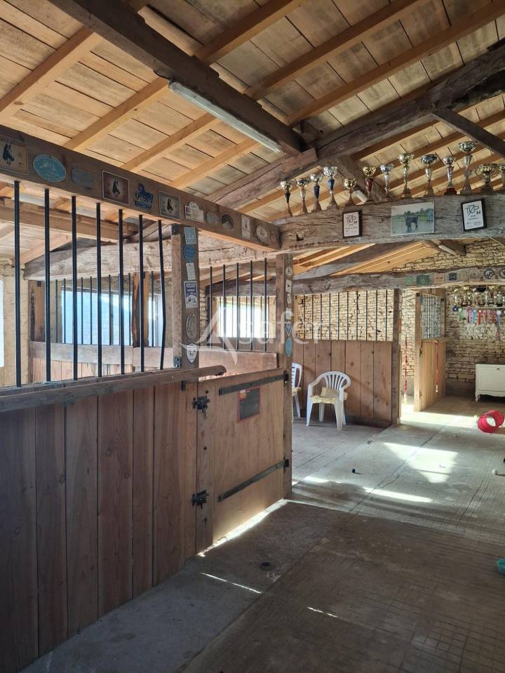 Landbouw bedrijf Koop Charente-Maritime