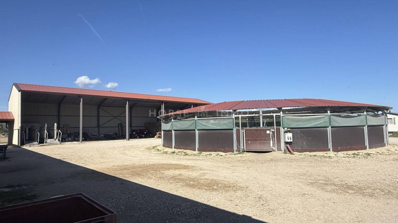 Stoeterij Koop Bouches-du-Rhône