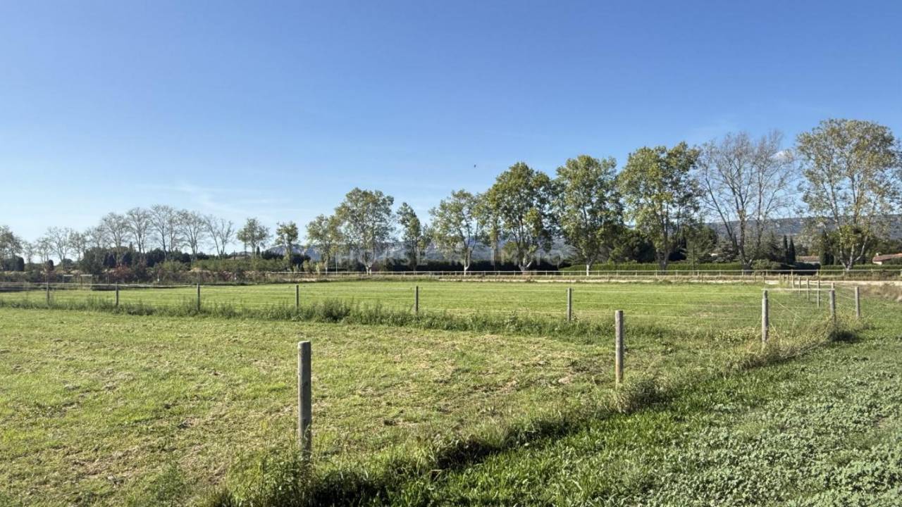 Stoeterij Koop Bouches-du-Rhône