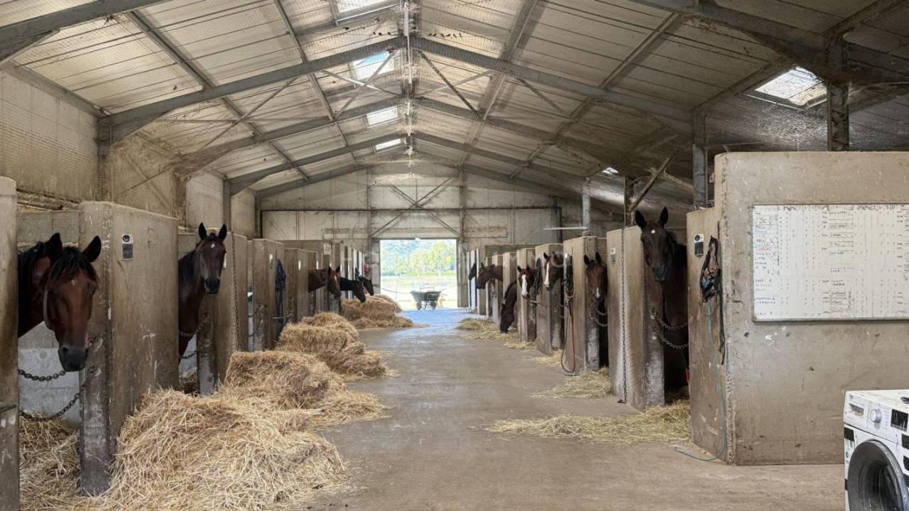 Stoeterij Koop Bouches-du-Rhône
