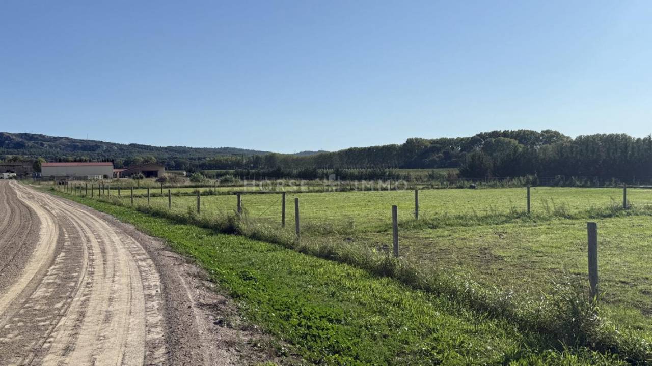 Stoeterij Koop Bouches-du-Rhône
