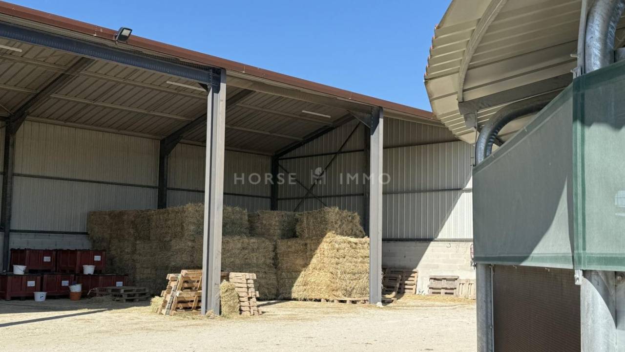 Stoeterij Koop Bouches-du-Rhône