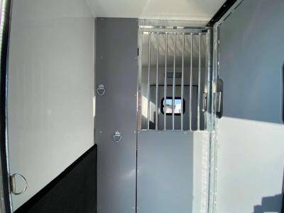 Kleine paardenvrachtwagen (B rijbewijs) Opel Movano 2021 Nieuw