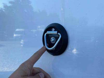 Kleine paardenvrachtwagen (B rijbewijs) Opel Movano 2021 Nieuw