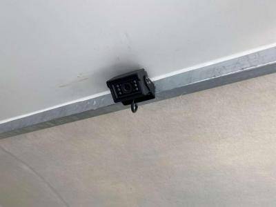 Kleine paardenvrachtwagen (B rijbewijs) Opel Movano 2021 Nieuw