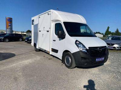 Kleine paardenvrachtwagen (B rijbewijs) Opel Movano 2021 Nieuw
