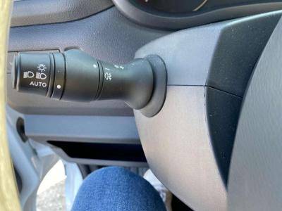 Kleine paardenvrachtwagen (B rijbewijs) Opel Movano 2021 Nieuw