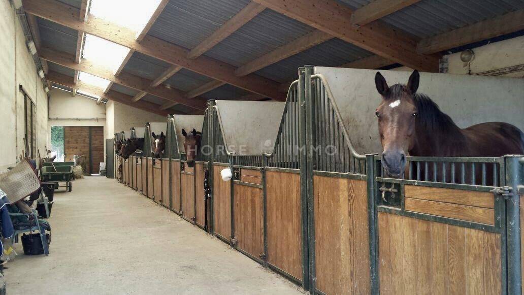 Hippisch vastgoed Koop Haute-Savoie