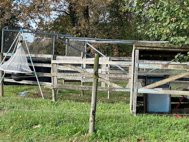 Hippisch vastgoed Koop Landes