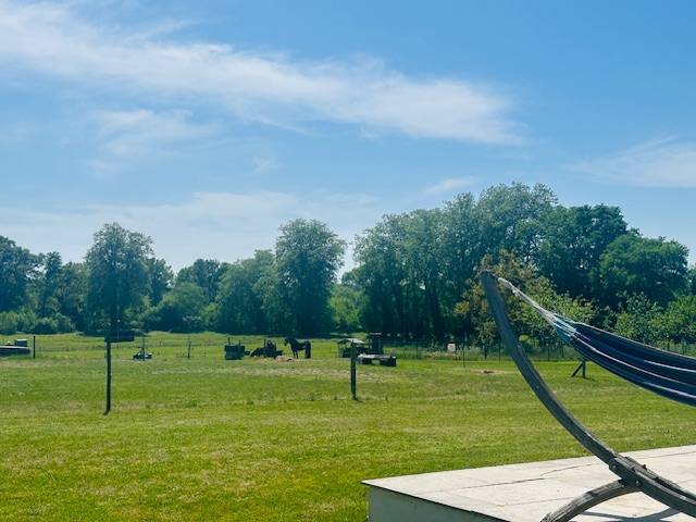 Hippisch vastgoed Koop Landes