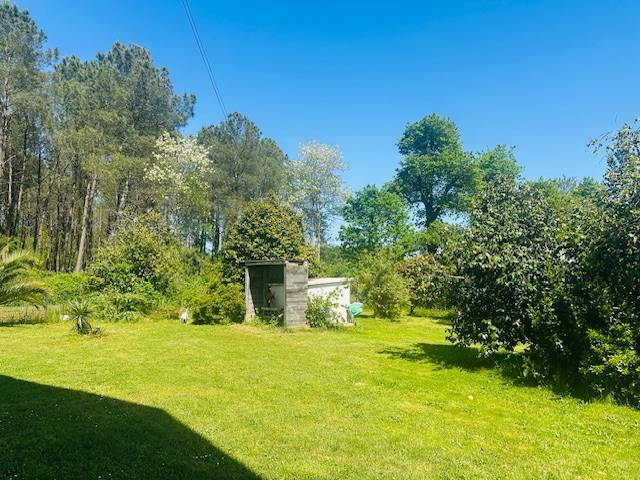 Hippisch vastgoed Koop Landes