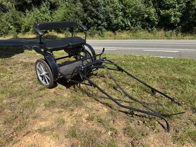 Rijtuigen - Cal&egrave;che   