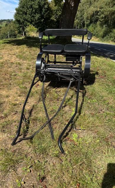 Rijtuigen - Cal&egrave;che   