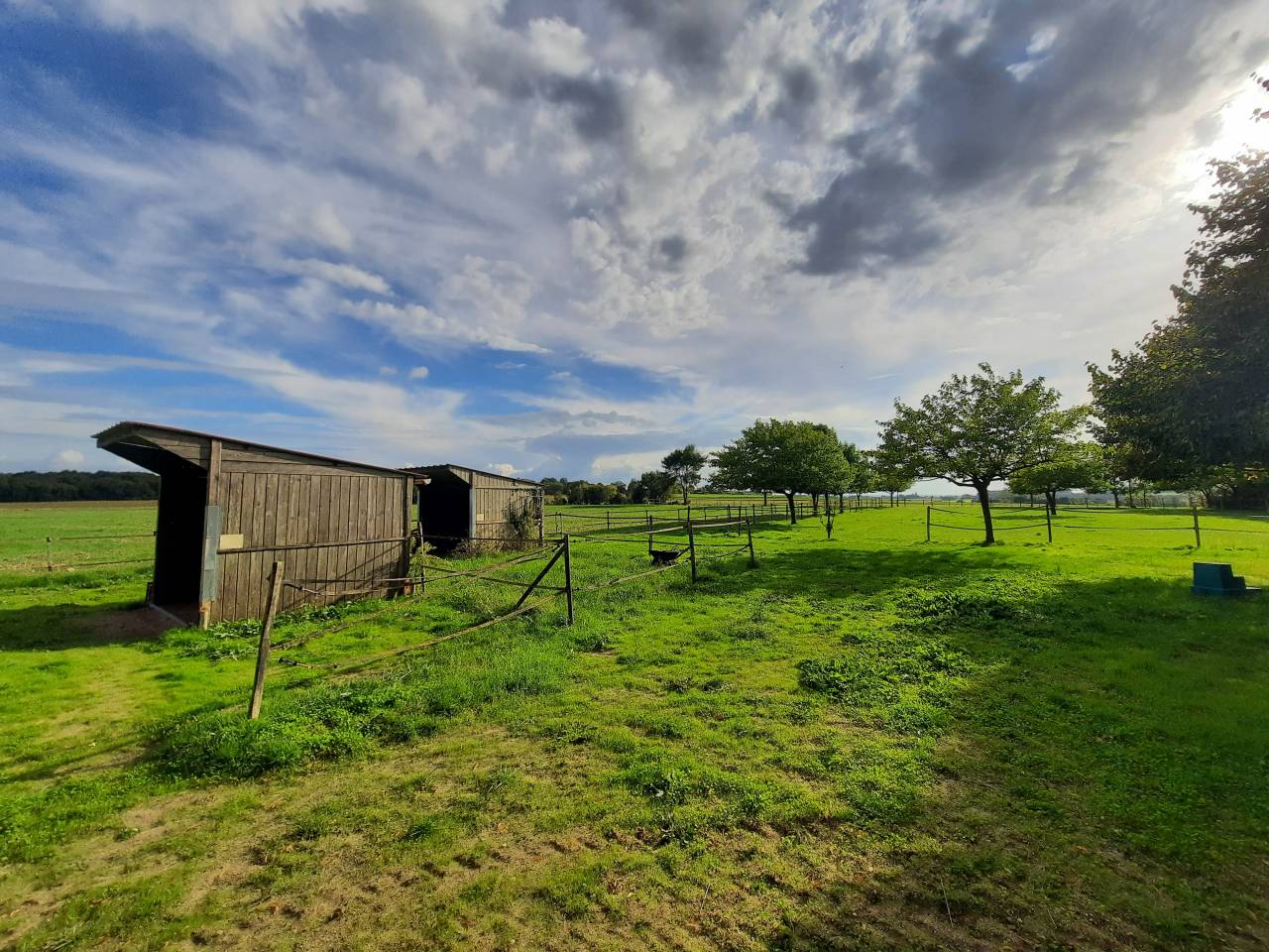 Hippisch vastgoed Koop Charente-Maritime