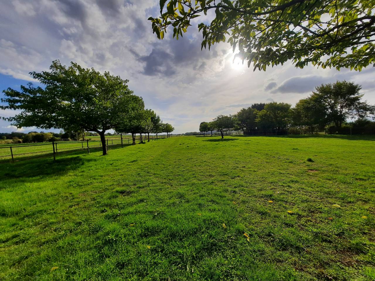 Hippisch vastgoed Koop Charente-Maritime