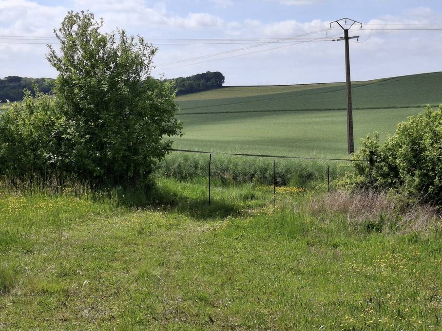 Hippisch vastgoed Koop Yonne